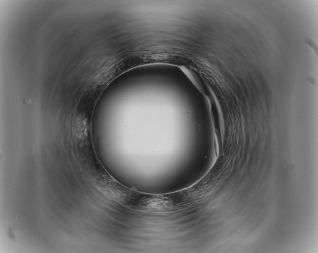 X0000098030555200804071419