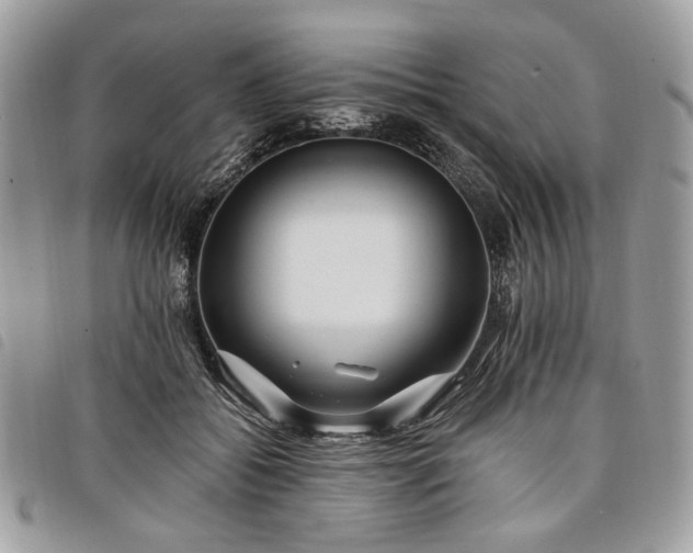 X0000098030556200804071419