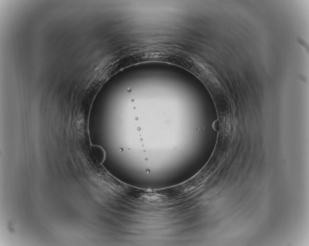 X0000098030557200804071419