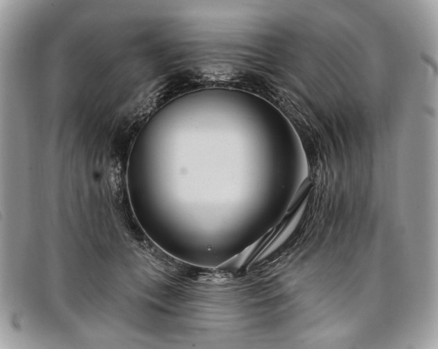 X0000098030559200804071419