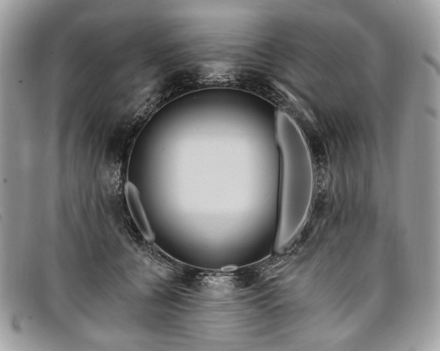 X0000098030560200804071419