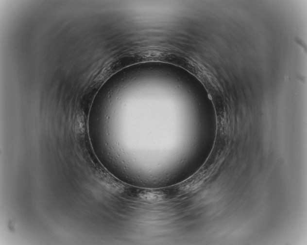 X0000098030561200804071419