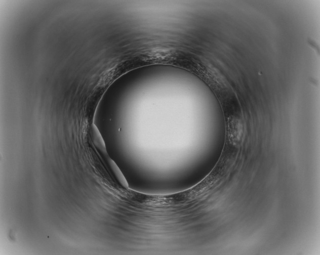 X0000098030563200804071419