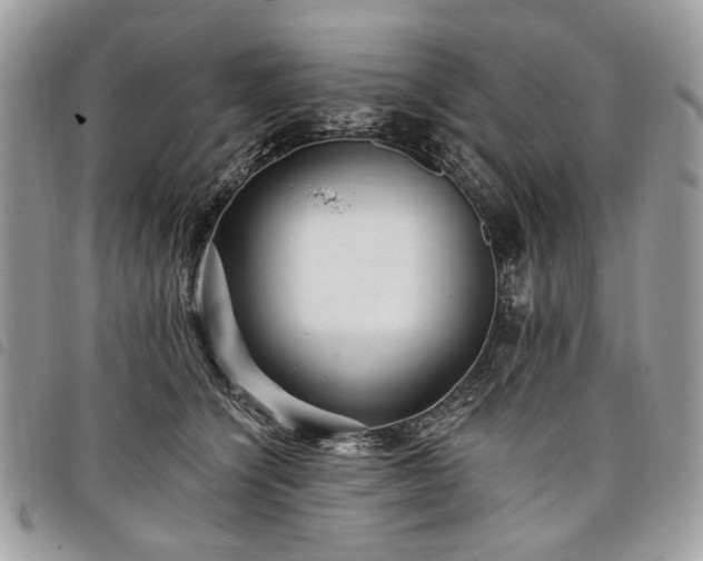 X0000098030564200804071419