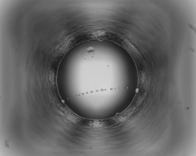 X0000098030565200804071419