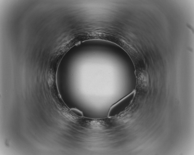 X0000098030566200804071419