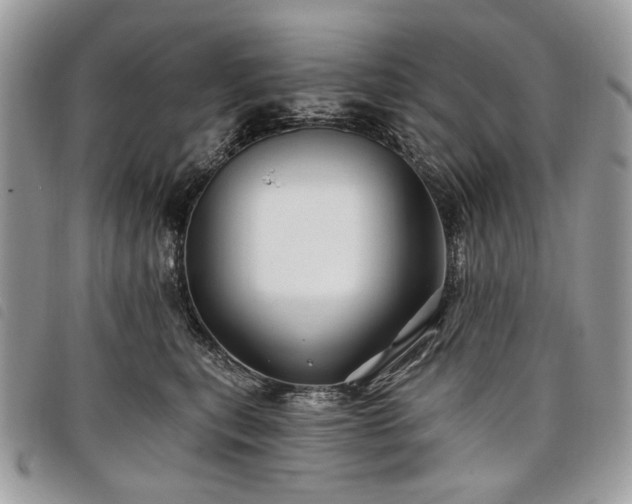 X0000098030567200804071419