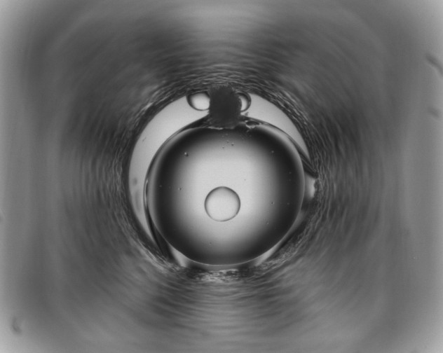 X0000098030568200804071419