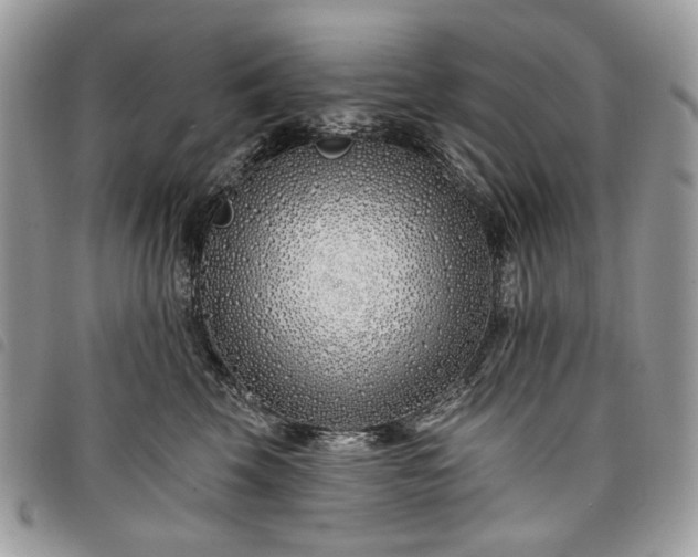 X0000098030569200804071419