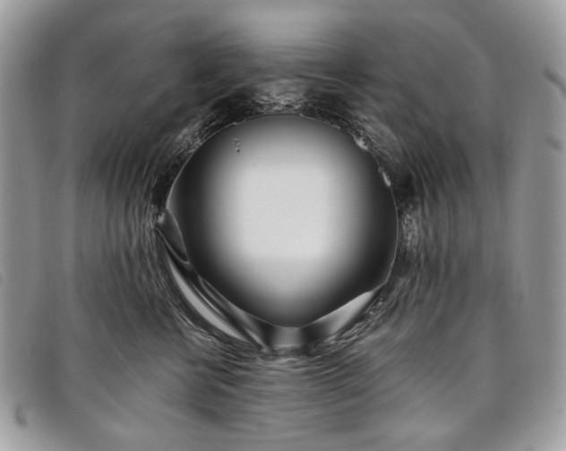 X0000098030570200804071419