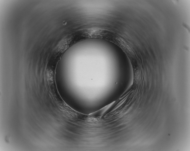 X0000098030571200804071419