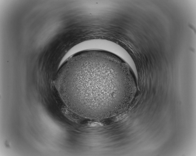 X0000098030572200804071419