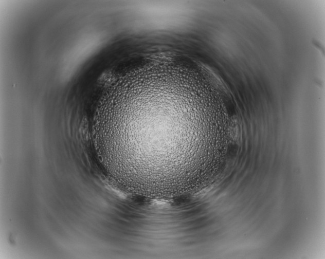 X0000098030573200804071419