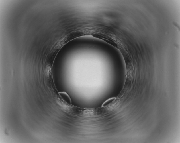 X0000098030574200804071419