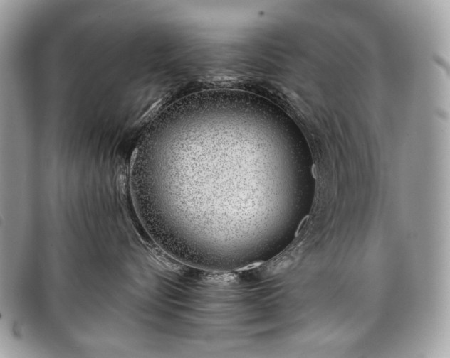 X0000098030576200804071419