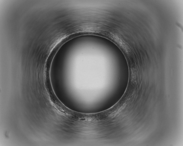 X0000098030580200804071418