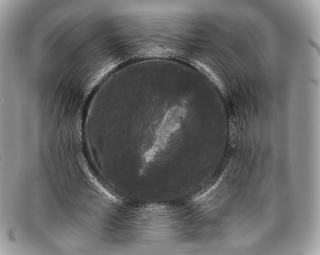 X0000098030581200804071418