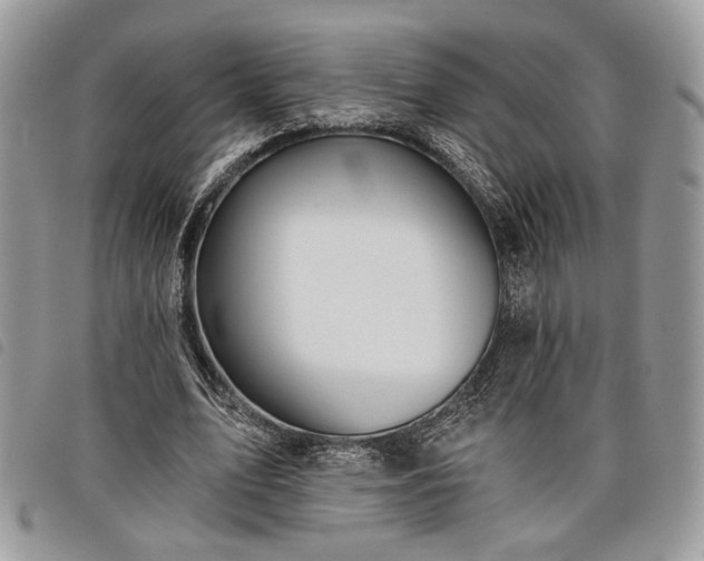 X0000098030583200804071418