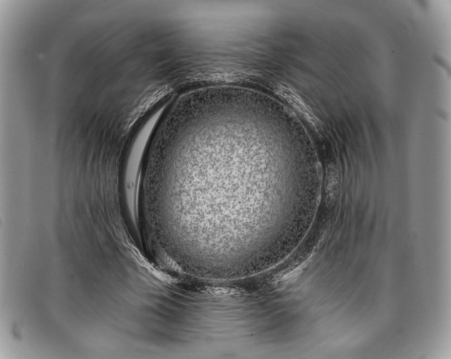 X0000098030585200804071418