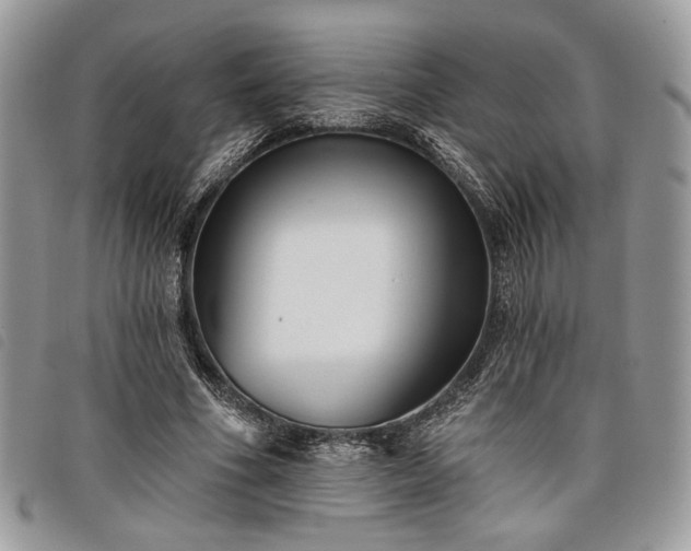 X0000098030586200804071418