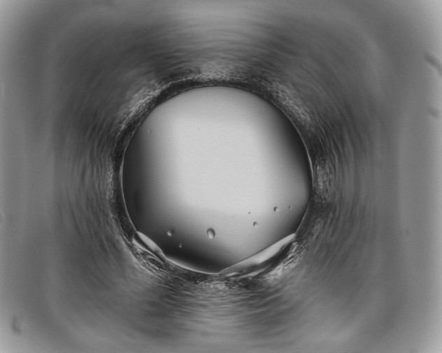 X0000098030588200804071418