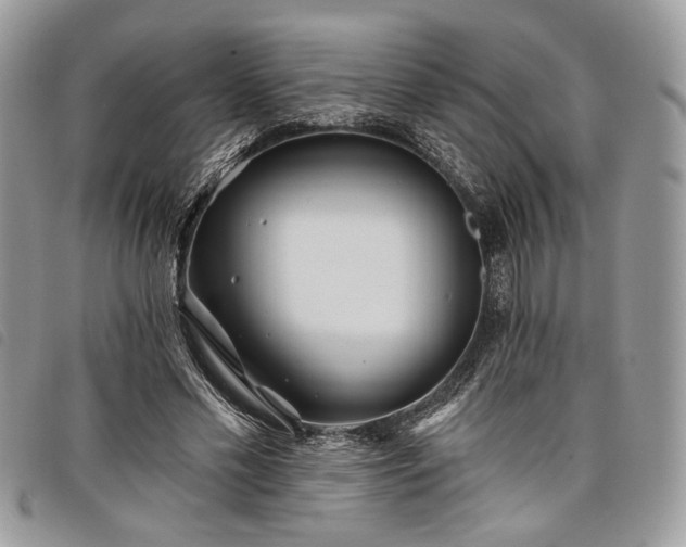 X0000098030589200804071418