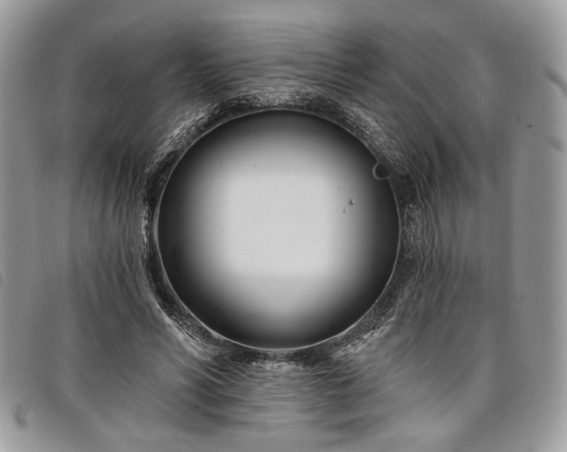 X0000098030590200804071418