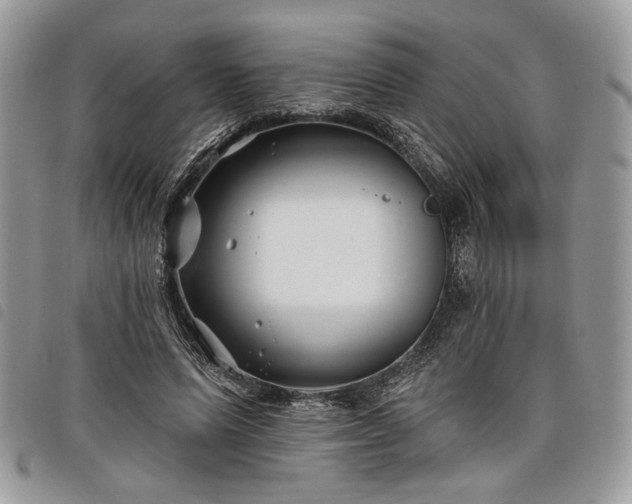 X0000098030591200804071418