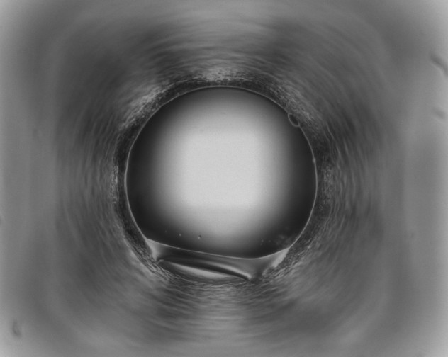 X0000098030592200804071418