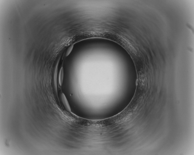 X0000098030593200804071418