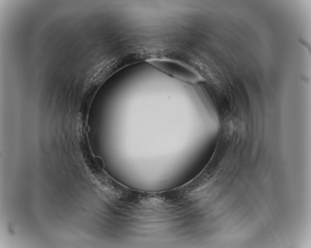 X0000098030594200804071418