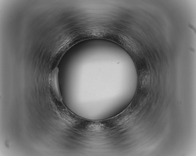 X0000098030595200804071418