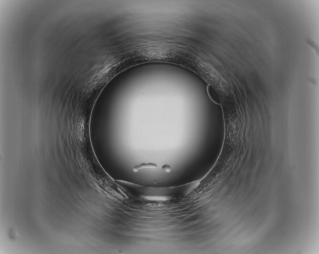 X0000098030596200804071418