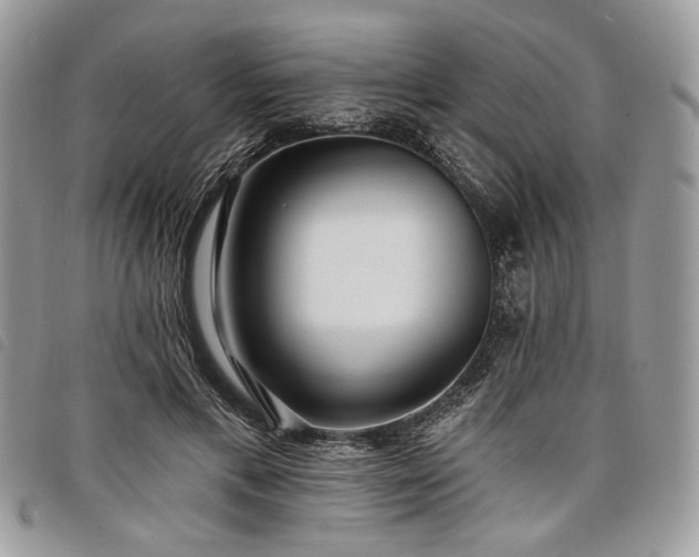 X0000098030597200804071418