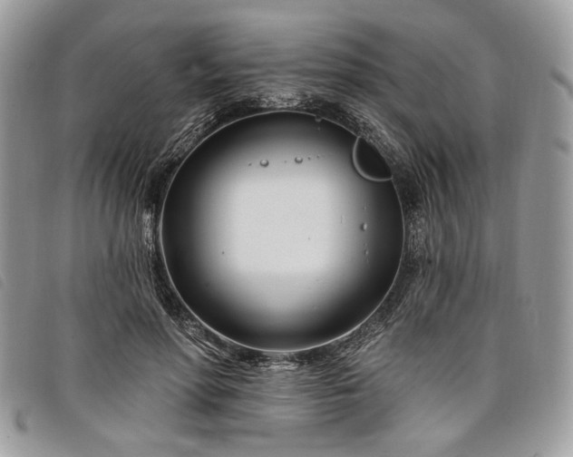 X0000098030598200804071418