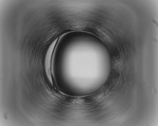 X0000098030599200804071418