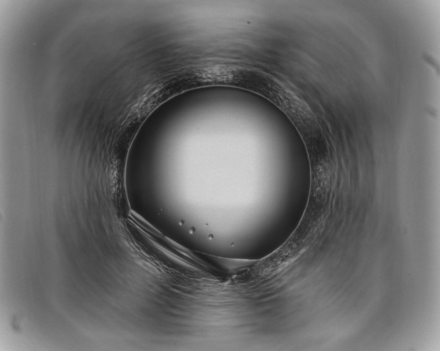 X0000098030600200804071418