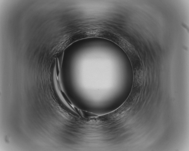 X0000098030601200804071418