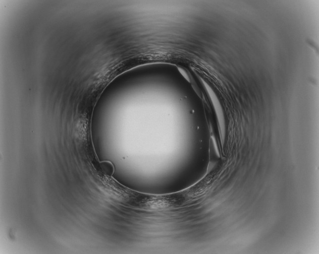 X0000098030604200804071418