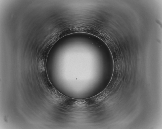 X0000098030606200804071418