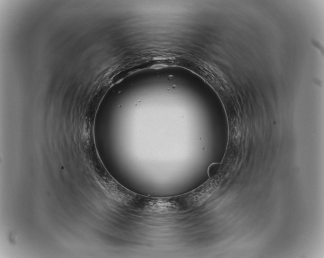 X0000098030607200804071418