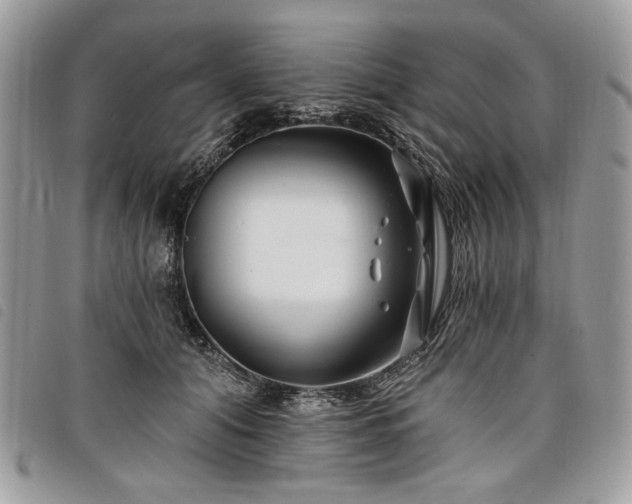 X0000098030608200804071418