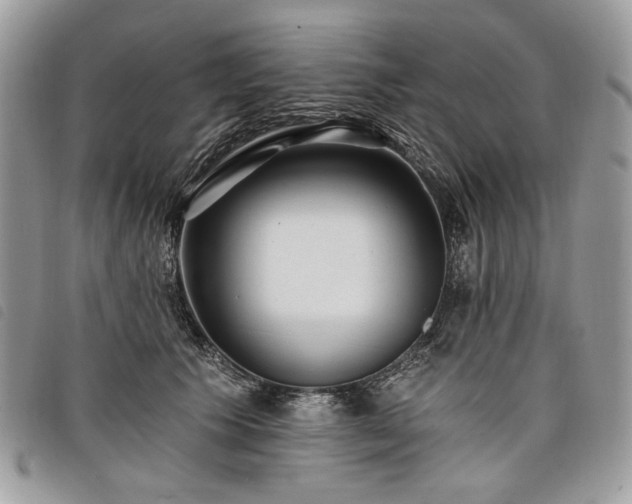 X0000098030609200804071418