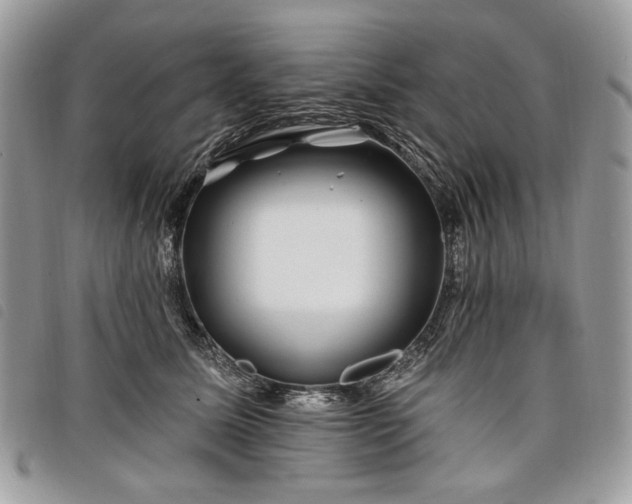 X0000098030611200804071418