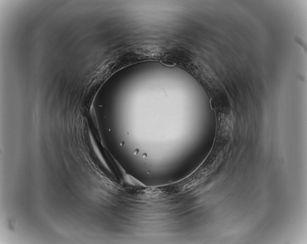 X0000098030612200804071418