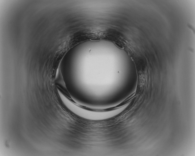 X0000098030613200804071418