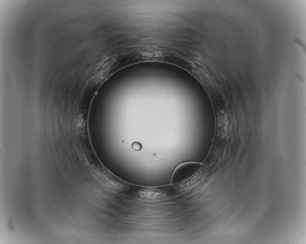 X0000098030614200804071418