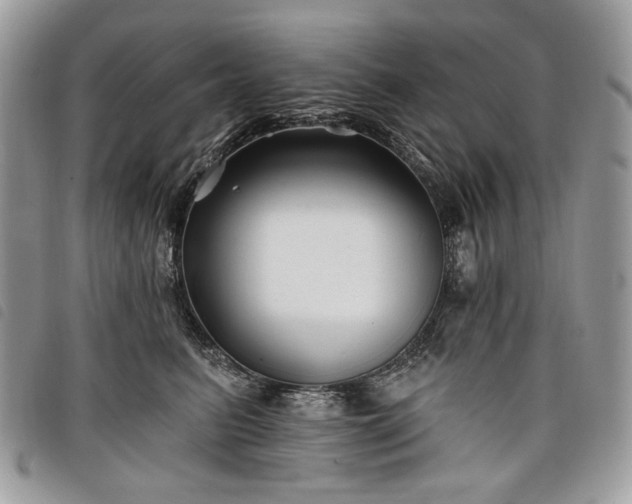 X0000098030615200804071418