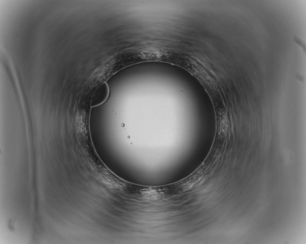 X0000098030616200804071418