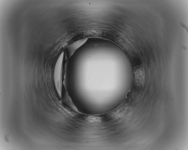 X0000098030617200804071418